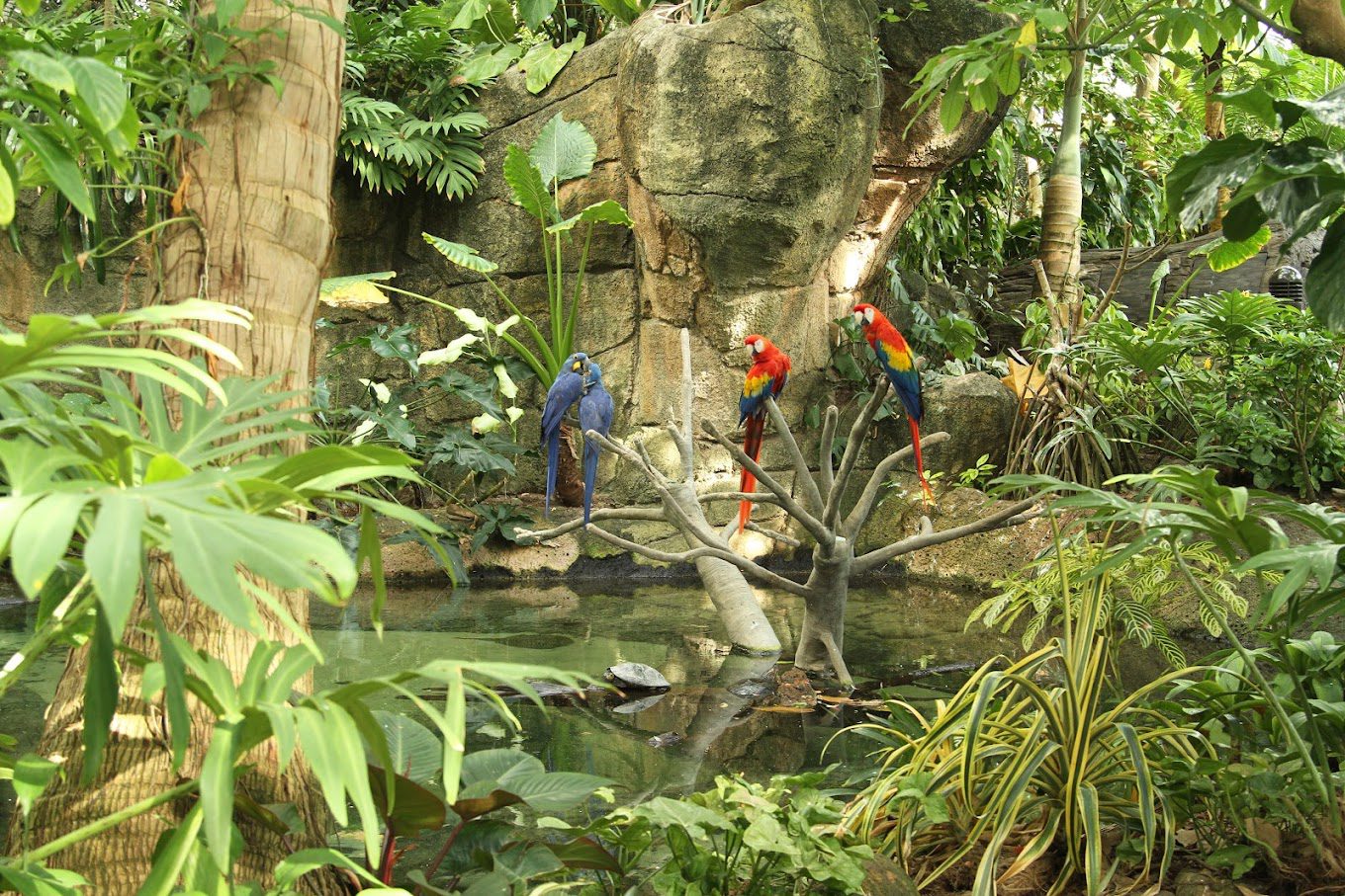 Moody Gardens